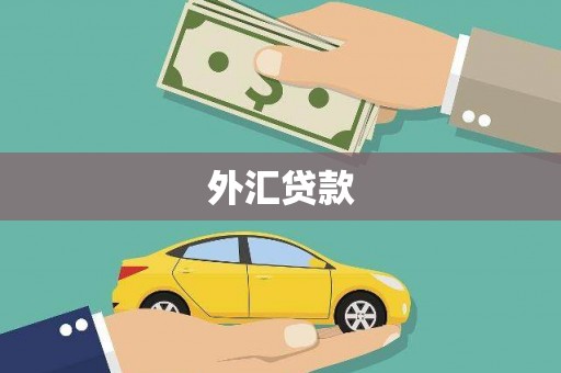 神湾外汇贷款