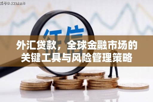 神湾外汇贷款，全球金融市场的关键工具与风险管理策略