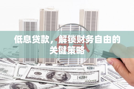 神湾低息贷款，解锁财务自由的关键策略