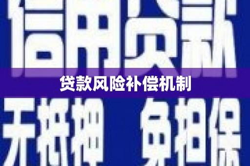 神湾贷款风险补偿机制