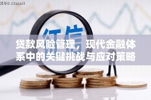 神湾贷款风险管理，现代金融体系中的关键挑战与应对策略