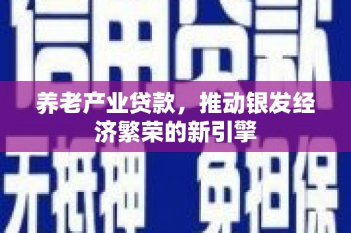 神湾养老产业贷款，推动银发经济繁荣的新引擎