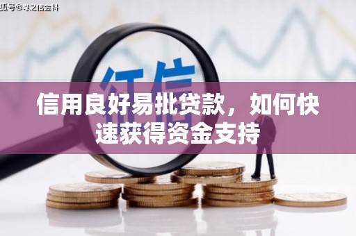 神湾信用良好易批贷款，如何快速获得资金支持