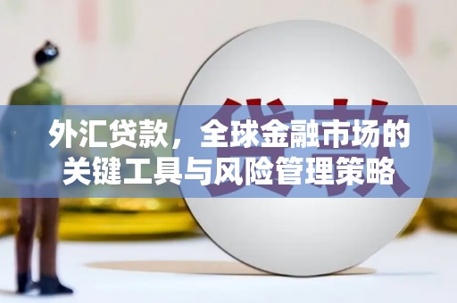 神湾外汇贷款，全球金融市场的关键工具与风险管理策略