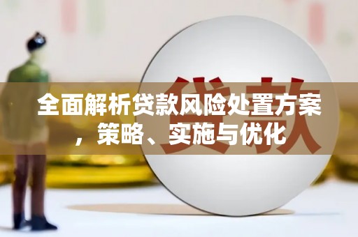 神湾全面解析贷款风险处置方案，策略、实施与优化