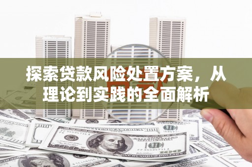神湾探索贷款风险处置方案，从理论到实践的全面解析