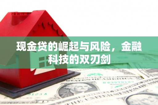 神湾现金贷的崛起与风险，金融科技的双刃剑