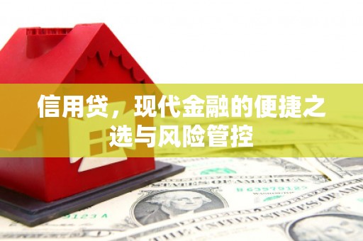 神湾信用贷，现代金融的便捷之选与风险管控