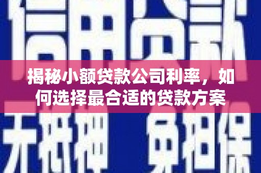 神湾揭秘小额贷款公司利率，如何选择最合适的贷款方案