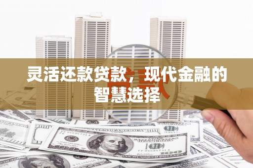 神湾灵活还款贷款，现代金融的智慧选择