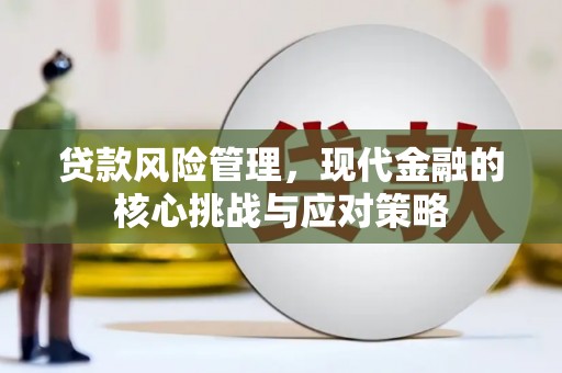 神湾贷款风险管理，现代金融的核心挑战与应对策略