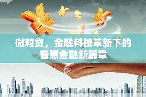 神湾微粒贷，金融科技革新下的普惠金融新篇章