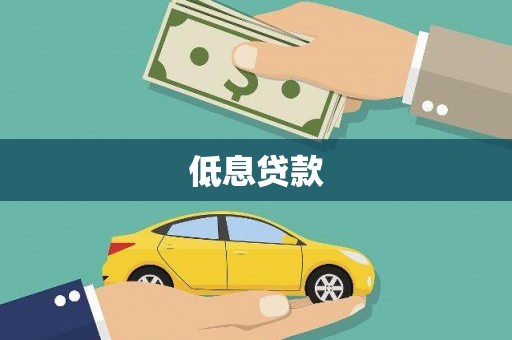 神湾低息贷款