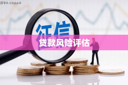神湾贷款风险评估