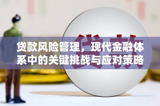 神湾贷款风险管理，现代金融体系中的关键挑战与应对策略