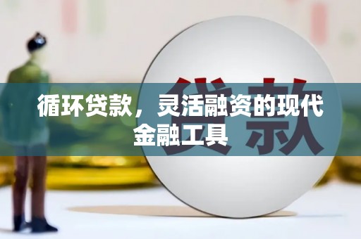 神湾循环贷款，灵活融资的现代金融工具