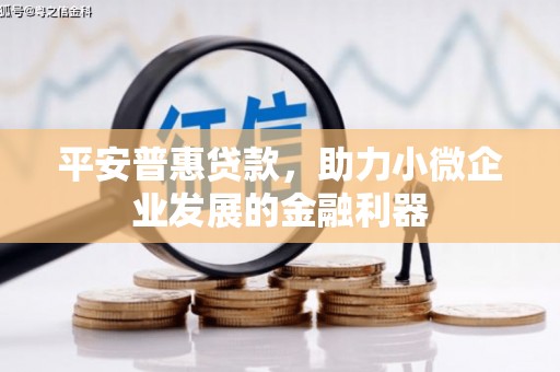 神湾平安普惠贷款，助力小微企业发展的金融利器