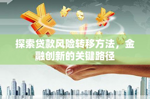 神湾探索贷款风险转移方法，金融创新的关键路径