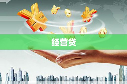 神湾经营贷